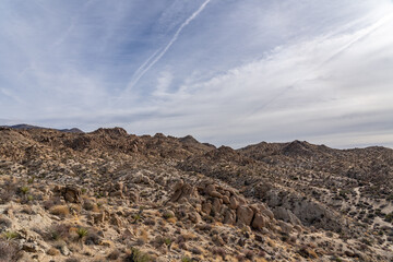 Lost Palms Oasis Trail Colorado Desert section of the Sonoran Desert. Joshua Tree National Park California，Mesozoi Plutonic Rocks, Gray biotite - rich granodiorite to quartz diorite. granite. 