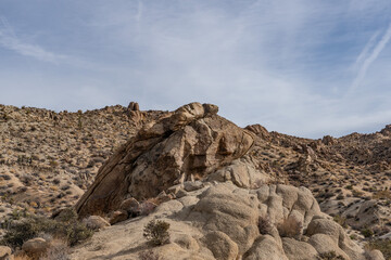 Lost Palms Oasis Trail Colorado Desert section of the Sonoran Desert. Joshua Tree National Park California，Mesozoi Plutonic Rocks, Gray biotite - rich granodiorite to quartz diorite. granite. 