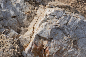 Lost Palms Oasis Trail Colorado Desert section of the Sonoran Desert. Joshua Tree National Park...