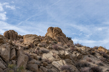 Cottonwood Spring，Colorado Desert section of the Sonoran Desert. Joshua Tree National Park, California. 	
Mesozoi Plutonic Rocks, Gray biotite - rich granodiorite to quartz diorite. granite. 