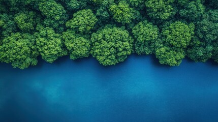 Aerial view of lush green forest meeting tranquil blue water.