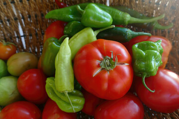 Fresh tomatoes and peppers from garden