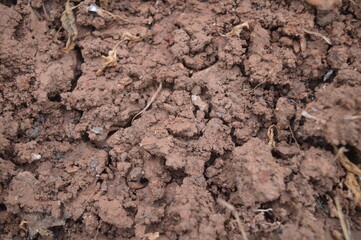close up of soil texture