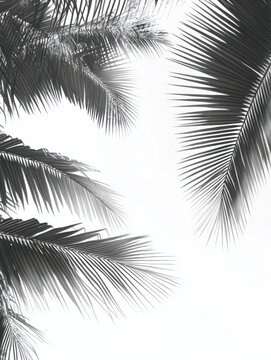Tropical foliage art background vector.Digital print design with palm, floral and leaves with watercolor brush texture. Canvas art for wallpaper, wall arts, prints, fabric, pattern and packaging.