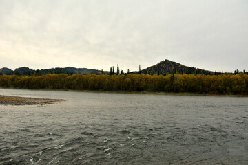 A sand spit in the middle of a fast wide river bed flowing through a mountain valley with a coniferous forest on a cloudy autumn day.