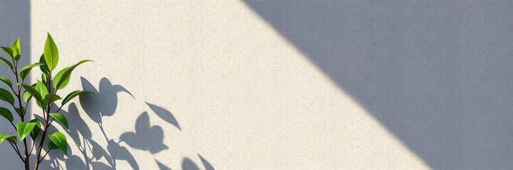 Realistic shadow effect of a plant casting a shadow on a wall, nature, wall, illustration