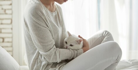Fototapeta premium a white cat in a woman's arms