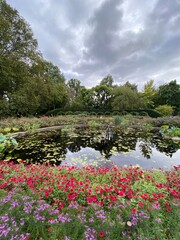 flowers in the water