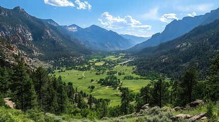 Obraz premium Mountain Valley Landscape with Meadow and Forest