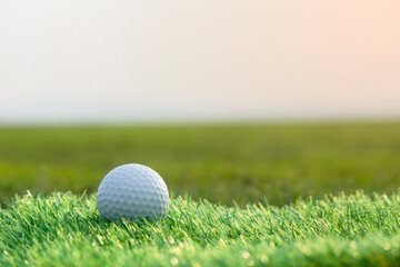 The golf ball is on a green lawn in a beautiful golf course