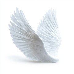 Elegant White Wings Isolated on a Soft Background for Design Use