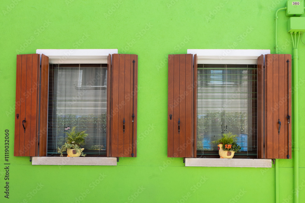 Wall mural bright neon green wall with two windows with plants and wood shutters 