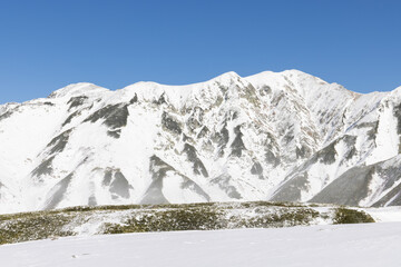 snow covered mountains