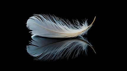 Obraz premium Single white feather with reflection on black background.
