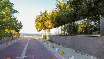 A sunlit road surrounded by trees, symbolizing the journey toward goals, success