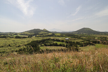 Fototapeta premium 산 정상에서 바라보는 풍경 제주 제주시 구좌읍 종달리 손지오름