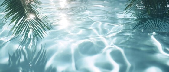 Underwater Scene with Tropical Palm Leaf Shadows on Clear Water Surface