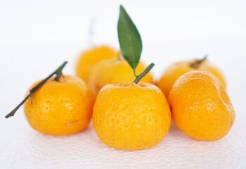 several whole mandarin oranges isolated on white background