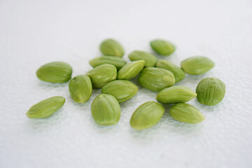 Petai beans isolated on white background