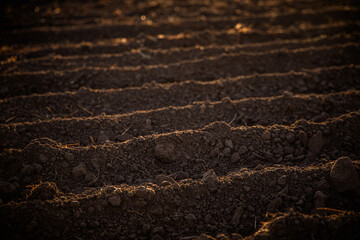 Freshly plowed soil at sunset, ready for planting, captured in the Color of the Year 2025 tones. Warm, earthy hues blend with the evening sky, evoking renewal, growth, and seasonal transitions.