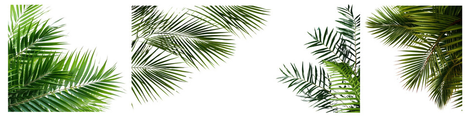 Fototapeta premium PNG Left border tree outdoor set on transparent background