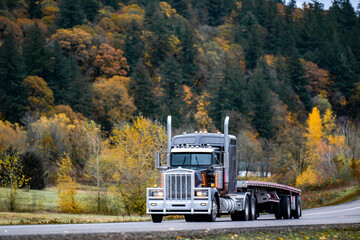 Iconic style black big rig classic American semi truck with turned on light transporting empty flat bed semi trailer driving on the narrow road with autumn forest on the side