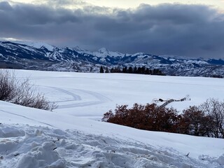 snow covered mountains