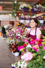 Portrait of cheerful asian young saleswoman offering potted colorful blooming petunias in flower shop to decorate courtyard or patio..