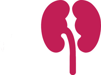 isolated kidney icon, world kidney day, vector kidney,  kidney illustration, healthcare icon, kidney symbol, kidney logo, nephrology icon, kidney vector, symbol, kidney awareness, kidney graphic