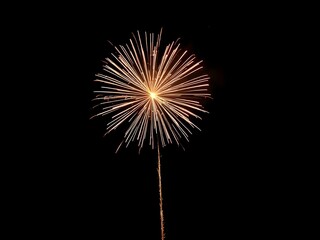 fireworks in the night sky