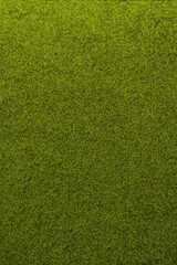 a close up of a green carpet with a white background