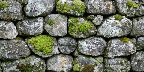Fototapeta premium Moss-covered rock texture detailed close-up perfect c