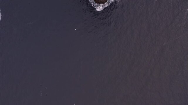 Aerial tracking top down across the Dun Briste sea stack near Downpatrick Head, with waves crashing below and seagulls soaring