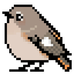 ドット絵 アニマルイラスト, ジョウビタキのメス