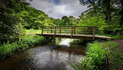 Fototapeta premium Tranquil wooden bridge over a serene stream.