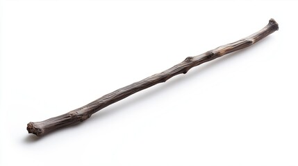 An ordinary broken branch from a tree on a white background, isolated