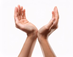 hands isolated on a white background, showing various poses or hand expressions
