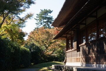 窓に映るのもみじ