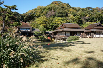 ススキ茂る日本庭園