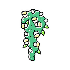 cascade waterfall bouquet flower color icon vector. cascade waterfall bouquet flower sign. isolated symbol illustration