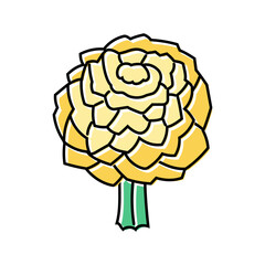 composite bouquet flower color icon vector. composite bouquet flower sign. isolated symbol illustration