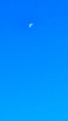 Daytime Moon