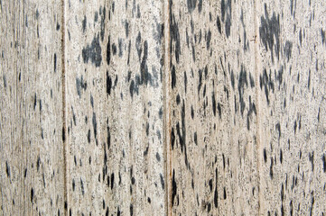 Natural Wood Texture Background