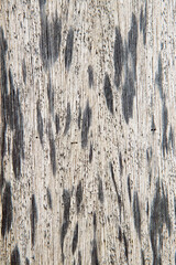Natural Wood Texture Background