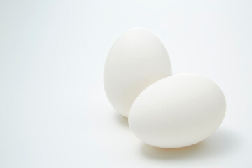 白い背景に置かれた生卵