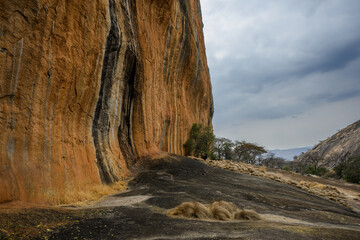 A granite cliff rises up from the batholith, Ngomakurira, Zimbabwe