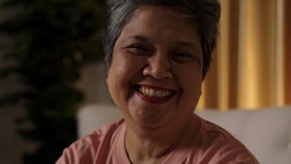 Happy Elderly Woman Smiling and Talking in living room