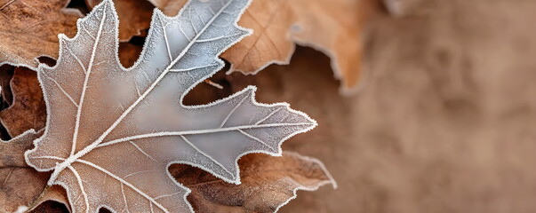 Pantone Color of the Year 2025. Horizontal banner in Mocha Mousse color, background with frosted autumn leaves.