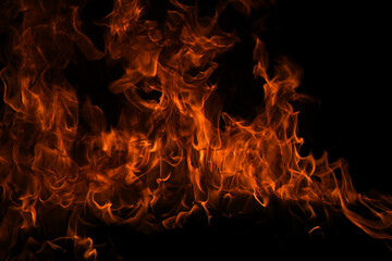 Flame fires. Burn lights on a black background. Fire flames on black background. Abstract fire flame background.