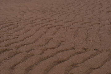 Texture of coastal wet sea sand in trendy 2025 new colors Mocha Mousse. Color of the Year 2025.